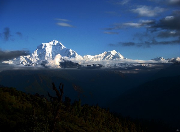 Dhaulagiri - Yoga trek Hi On Life tn_hionlifedhaulagiri