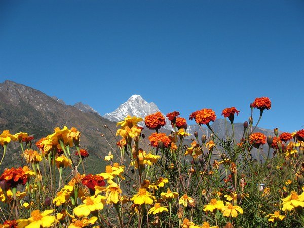 Everest region tn_img_12571