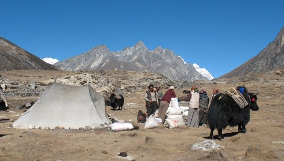Arie, Everest Circuit Trek tn_img_15831