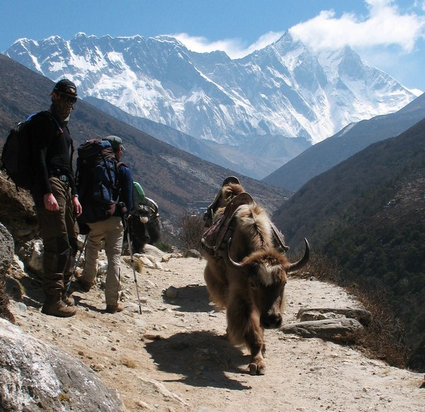 Trek to Everest Base Camp tn_img_2651