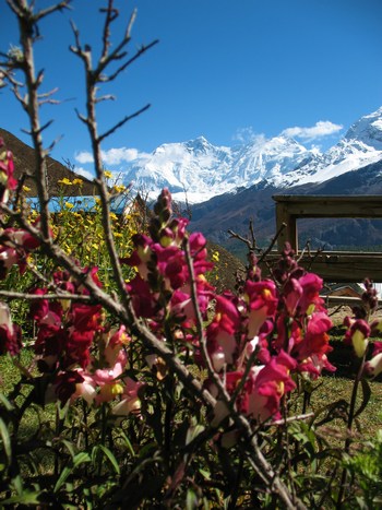 Yoga Trek Annapurna Nepal tn_img_3889