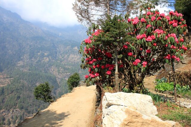 Vår i Nepal