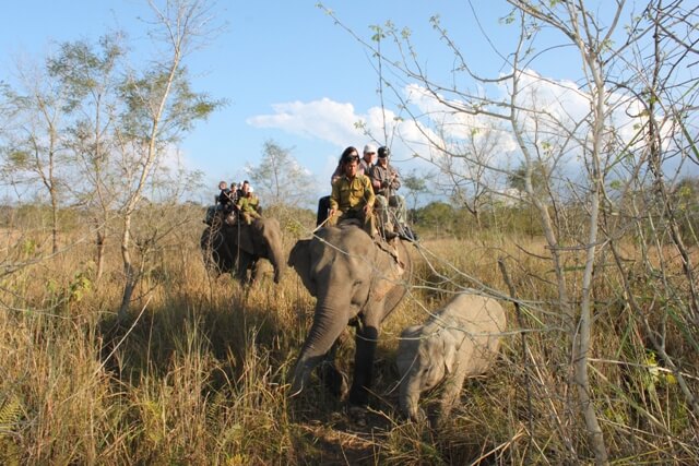 Chitwan Elefantsafari