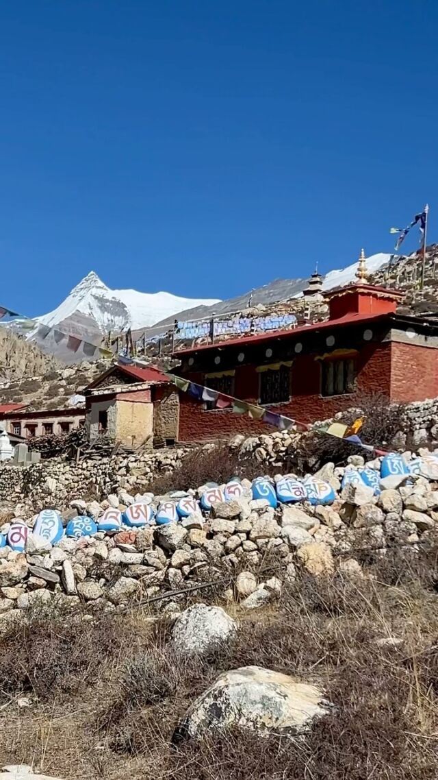 As much captivating the village of Phu is, the trek to this mysterious village is equally thrilling! #narphutrek #annapurna #photographytrek #mountainphotography #raredestinations #restrictedarea #trekking #mountains #nepal #himalaya #mystifyingbeauty #tibet #hionlifeadventures #monasteries #tibetanbuddhism #cultural #instareels #fbreels